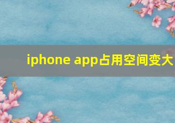 iphone app占用空间变大